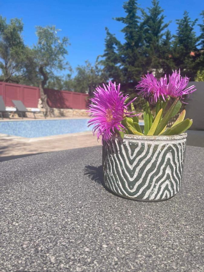 Nissi Collection Aparthotel